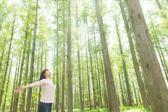 アーリーリタイアをするメリットとは？