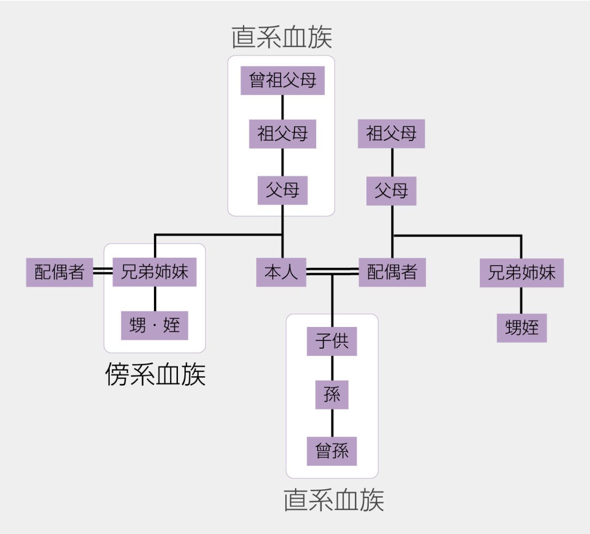 「直系」と「傍系」